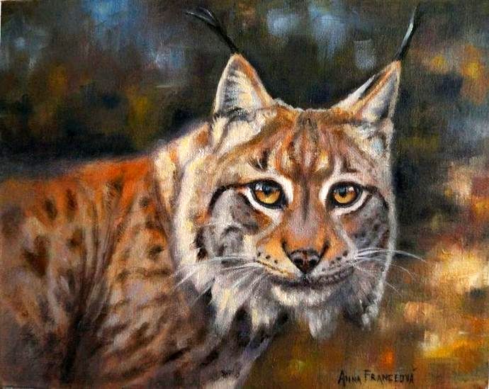 Our treasures - Lynx
